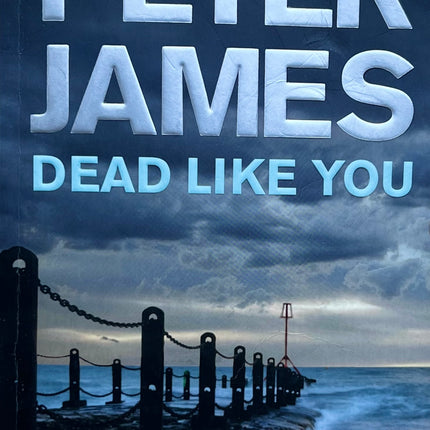 Död som du - Peter James