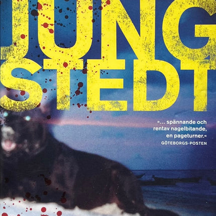 Den Du Inte Ser - Mari Jungstedt