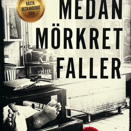 Medan Mörkret Faller - Anna Lihammer