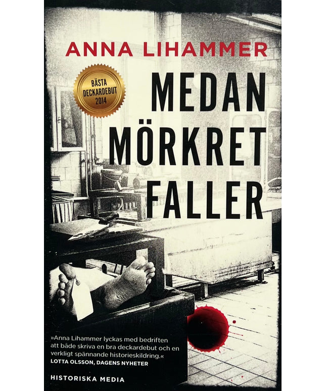 Medan Mörkret Faller - Anna Lihammer